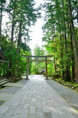 弥彦神社　参道（新潟県）