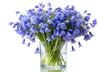 Bluebell Bouquet in Vase