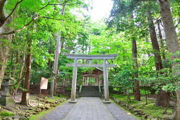弥彦神社　摂社・末社（新潟県）