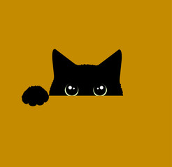 目がクリクリの黒猫の顔