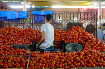 Vendor of tomatoes. Agadir, Morocco, in the bazaar called Souk El Had.