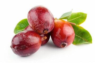 Obraz premium A fresh jujube isolated on white