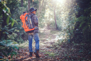 Asian man traveler with backpack explore while walking in green forest. Travel and backpack concept