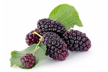 A fresh mulberry isolated on white