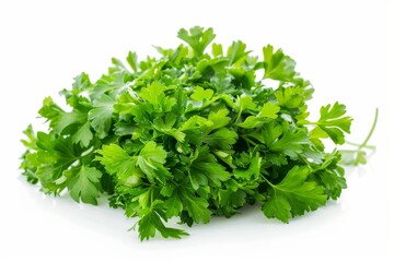 A fresh Parsley and Parsley Power isolated on white