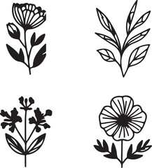 A set of black and white flowers