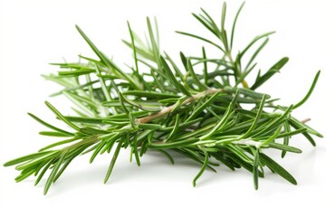 Fototapeta premium A fresh Rosemary and Rosemary Power isolated on white