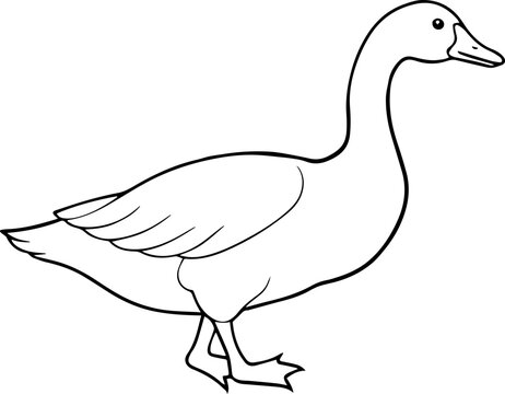 recommend clip art: Goose line art silhouette vector illustration