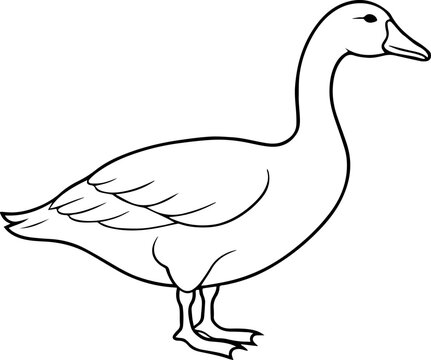 recommend clip art: Goose line art silhouette vector illustration