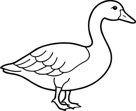 recommend clip art: Goose line art silhouette vector illustration