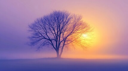 Elegant silhouette of a bare tree against a soft misty golden and purple sunrise, with radiant light glowing from behind, in a serene, realistic setting