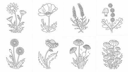 set of hand drawn flowers, set of  floral line drawing illustrations, isolated on white background 