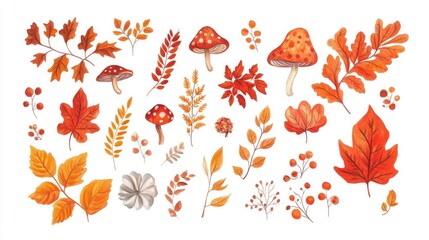 Obraz premium Autumn decorative elements on a white background