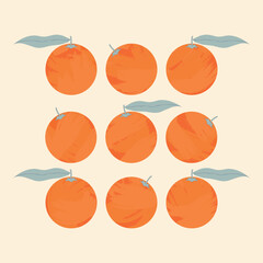 Orange fruits on a beige background. Vector illustration.