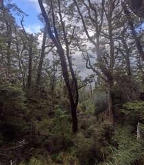 Green Lake Hut at in Fiordland National Park