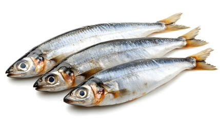 Obraz premium Herring fish isolated on white background 