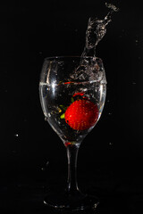 Splash