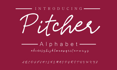 Stylish Cursive Signature Font for Logos
