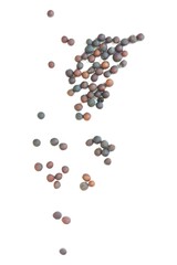 broccoli seeds isolated on white