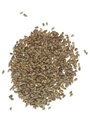 Celery seeds isolated on white