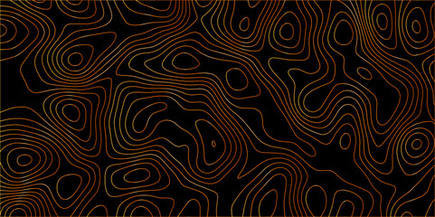 Topographic canyon geometric map relief texture with curved layers and shadow. abstract White background with a beautiful pattern, Topographic contour lines vector map seamless pattern vector.