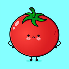 Angry Tomato character. Vector hand drawn cartoon kawaii character illustration icon. Isolated on blue background. Sad Tomato character concept