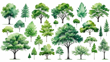abstract white layout drawing watercolor tree olated collection view landscape background side environment green architecture garden elements tree isolated green nature leaf white plant tree branch
