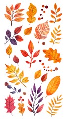 Set of autumn leaves clip art, vector illustration, white background, flat color, hand-drawn style, autumn colors