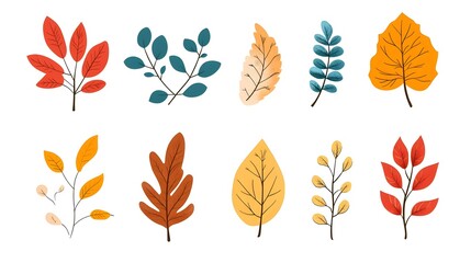 Set of autumn leaves clip art, vector illustration, white background, flat color, hand-drawn style, autumn colors
