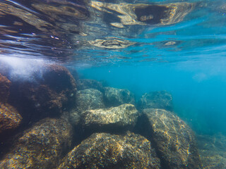 Fototapeta premium Underwater photography. Mediterranean Sea off the coast of Nice in southern France, seabed and rocks.