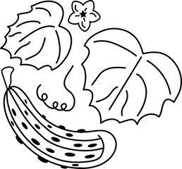 Cucumber with mustache, cucumber leaves and flower, vector icon. Logo.