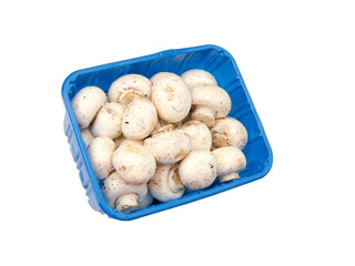 Champignons in a blue plastic container.