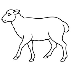Sheep illustration line art vector illustration