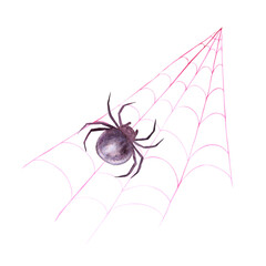 Black spider on web. Monochrome drawing of dangerous arthropod arachnid, insect. Watercolor hand drawn cutout isolated clipart for halloween, horror illustrations. Karakurt, black widow, Latrodectus