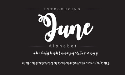 Rich Brush Script Typeface