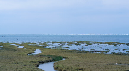 Gaomei Wetlands  in Taichung City Taiwan.