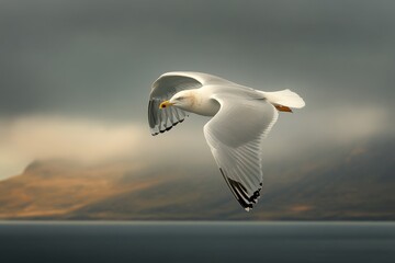 A majestic seagull soars through the air, wings outstretched against a dramatic sky over a picturesque coastline. The bird's intense focus and powerful flight capture the essence of freedom and resili