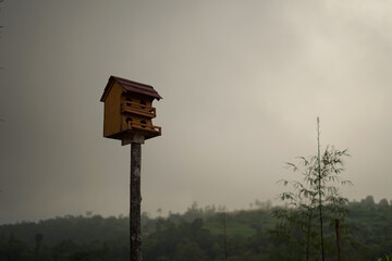 bird cage in the fog