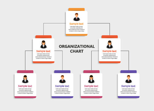 Corporate organizational chart with business avatar icons. Business hierarchy infographic elements. Vector illustration	