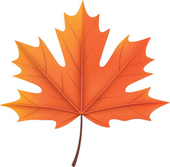 Maple Leaf vector on transparent background for autumn fall designs and decor
