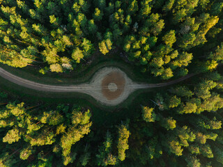 Top view of the way between forest with circle in the middle in morning sun. Nature background
