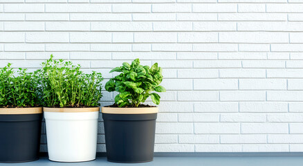 Three stylish plant pots with fresh herbs against a modern gray brick wall, perfect for adding greenery to any space.