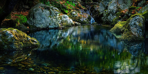 Fototapeta premium Pensive Pond: A still body of water, surrounded by mossy rocks and overhanging branches.