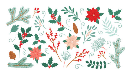 Christmas botanical elements set. Winter holiday flowers, plants and berries. Flat vector illustrations collection isolated on white background