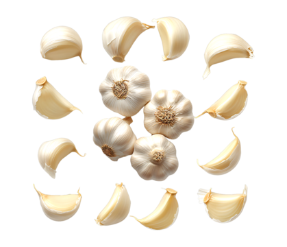 Garlic bulbs and cloves arranged in a circular pattern on a transparent background - Powered by Adobe