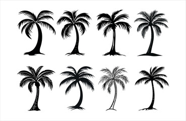 Detailed Highly Detailed Palm or coconut tree black art silhouette vector illustration set on white background