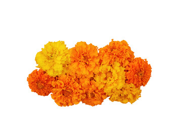 Marigold flowers Isolated on a white background. Composition for the Day of the Dead and Indian holidays, copy space, Flat lay
