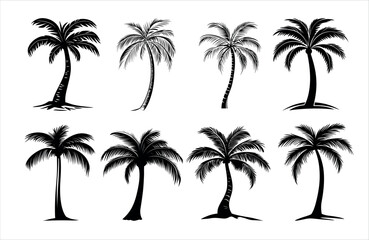 Detailed Highly Detailed Palm or coconut tree black art silhouette vector illustration set on white background