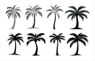 Detailed Highly Detailed Palm or coconut tree black art silhouette vector illustration set on white background