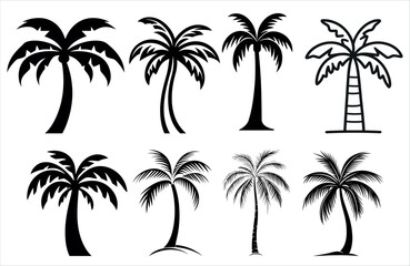 Detailed Highly Detailed Palm or coconut tree black art silhouette vector illustration set on white background